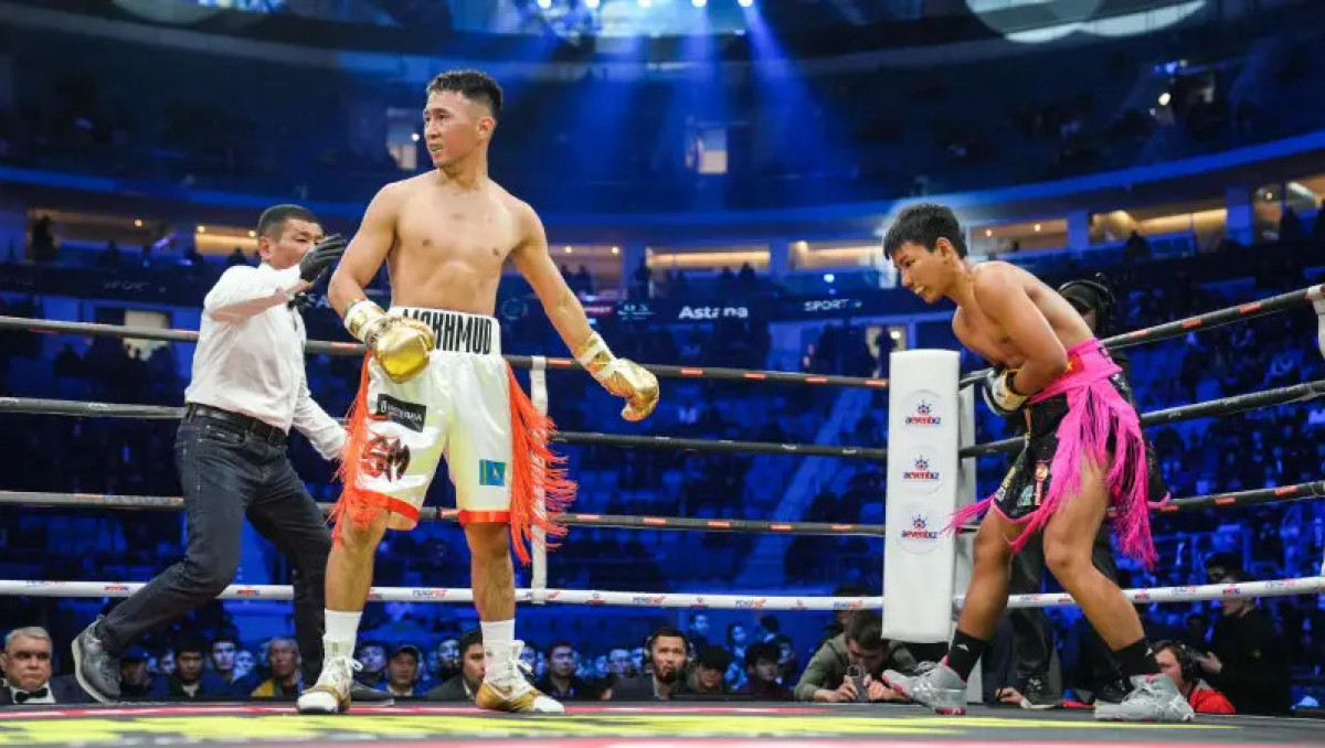 Ағайынды Сабырхандар кәсіпқойдағы айқасы үшін қанша алғанын айтты