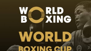 ©World Boxing
