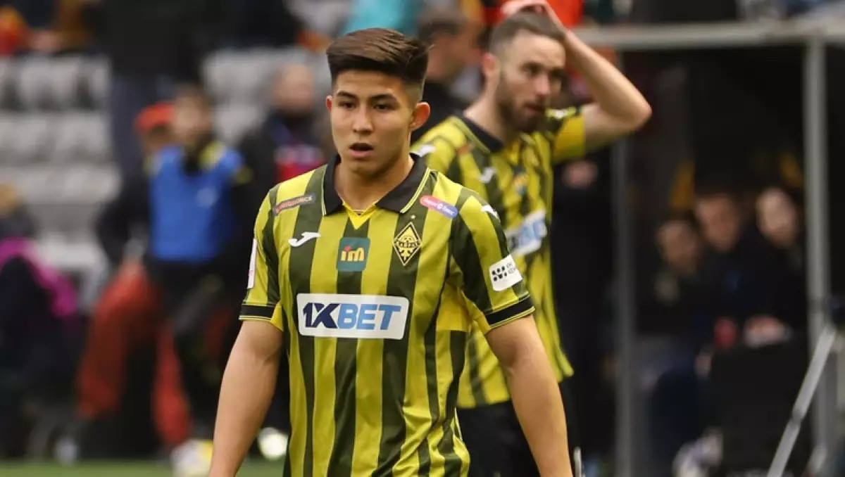 Ең түкті арқадағы фотосуреттер