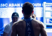 ©ҚР ҰОК, иллюстрациялық сурет