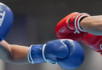 ©instagram.com/boxingkazakhstan