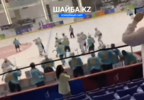 Видеодан жасалған кадр