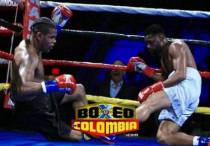 © boxeodecolombia.com